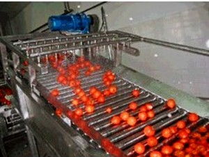 果蔬清洗機與果蔬烘干機 現代廚房的健康守護神